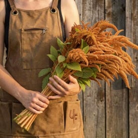 Hot Biscuits, Amaranthus Seeds